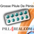 Grosse Pilule De Pénis dapoxetine1